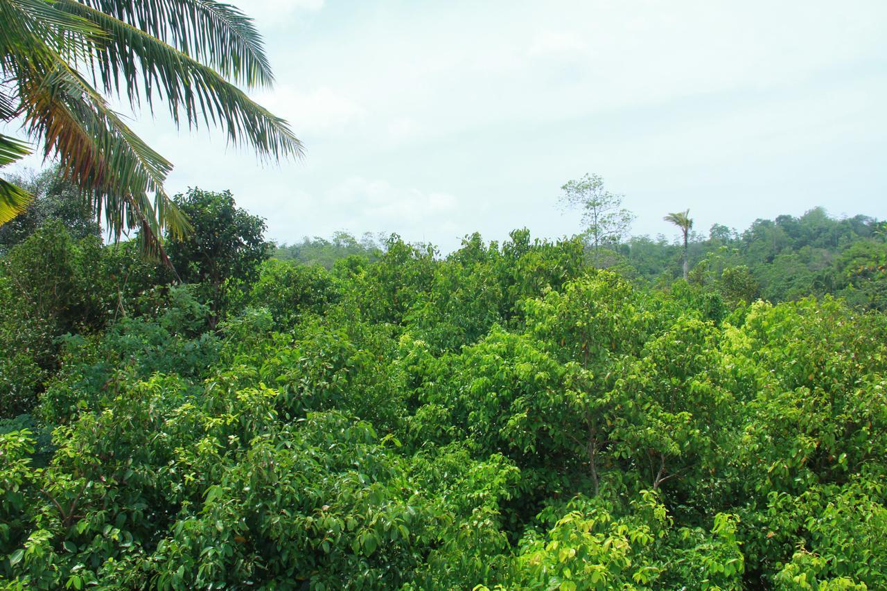 Mirissa Eco Hills Villa ภายนอก รูปภาพ